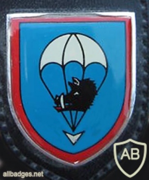 264th Airborne Battalion img8036
