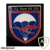 266th Airborne Supply Battalion, 5th Company badge