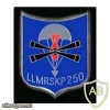 250th Airborne Mortar Company img8006