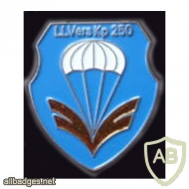 250th Airborne Supply Company badge, type 2 img8007