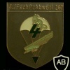 262nd Airborne Battalion,4th Anti tank Company badge img8033