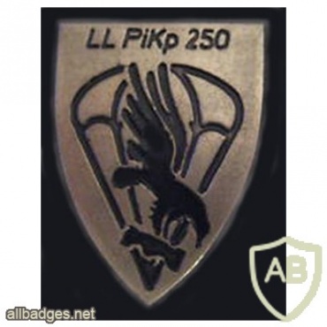 250th Airborne Engineers Company badge, type 2 img8003