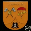 Airborne Reconnaissance Platoon 26