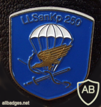 250th Airborne Medical Company img8005