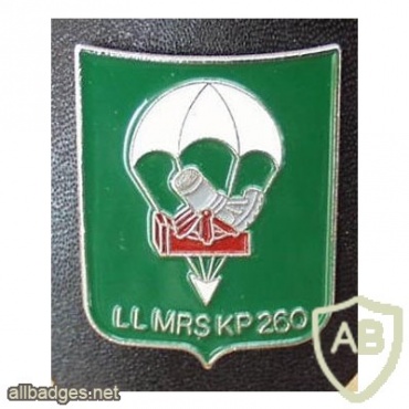 260th Airborne Mortar Company img8025