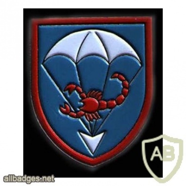 263rd Airborne Battalion img8034