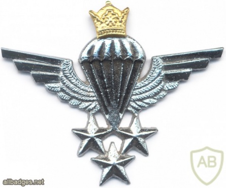 IRAN Parachutist wings, Master img8099