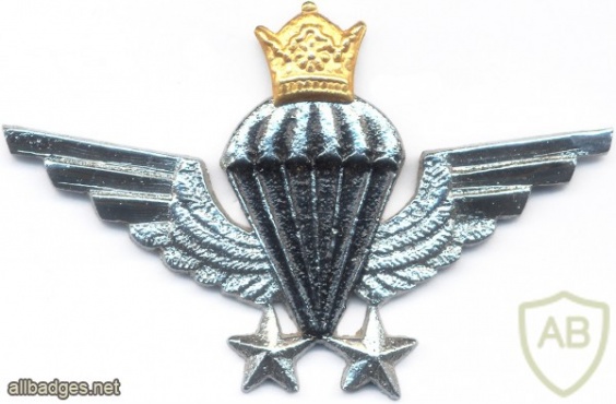 IRAN Parachutist wings, Senior img8098