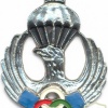 IRAN Freefall Parachutist qualification badge img8096