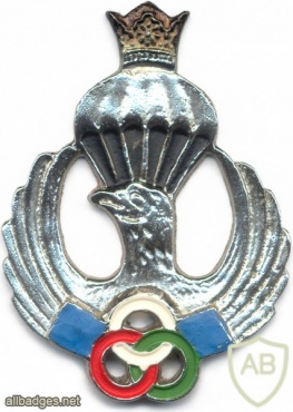 IRAN Freefall Parachutist qualification badge img8096