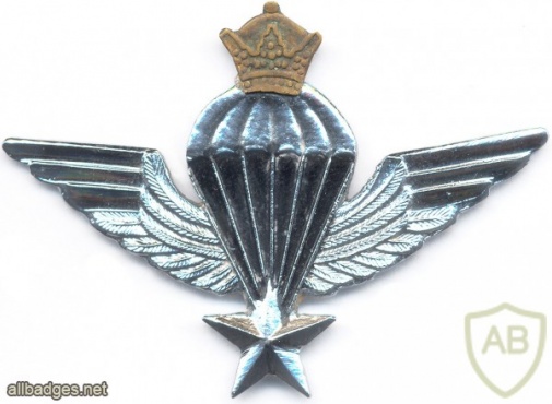IRAN Parachutist wings, Basic img8097