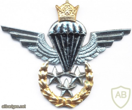 IRAN Jumpmaster Parachutist wings, Master img8102