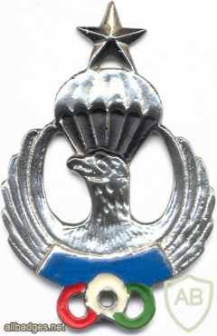 IRAN Freefall Parachute Instructor qualification badge img8095