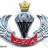 IRAN Airborne Supply unit wings