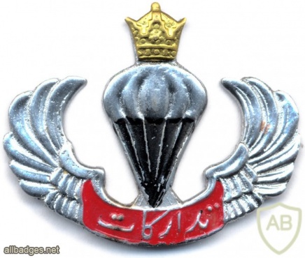 IRAN Airborne Supply unit wings img8103