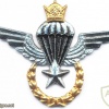 IRAN Jumpmaster Parachutist wings, Basic
