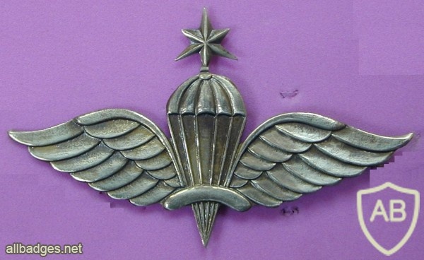 ETHIOPIA Parachutist wings, Senior img8201