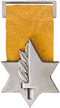 Medal of valor img8274