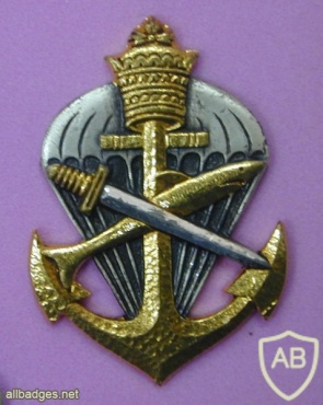 ETHIOPIA Naval Commando Parachutist badge img8203