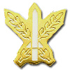 Israel Security Award - Golden img8296
