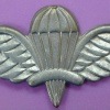 Ethiopian parashutist wings, type 2