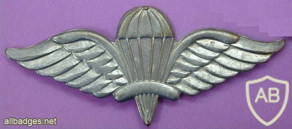 Ethiopian parashutist wings, type 2 img8200