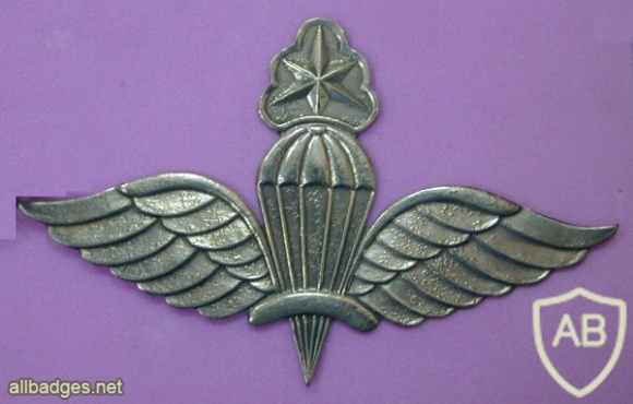 ETHIOPIA Parachutist wings, Master img8202