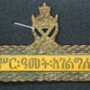 Imperial army long-service badge, 10 years img8396