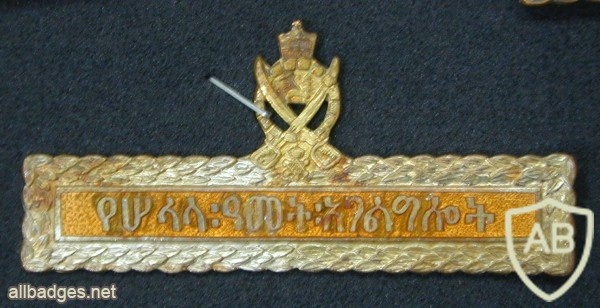 Imperial army long-service badge, 30 years img8394