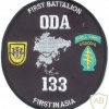 US Army 1st Special Forces Group, 1st Battalion, ODA 133 patch