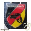 355th Armored Artillery Battalion badge, type 2 img8352