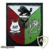 245th Armored (Mountain) Arillery battalion