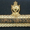 Imperial army long-service badge, 25 years img8399