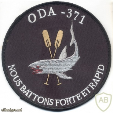 US Army 3rd Special Forces Group, ODA 371 patch img8387