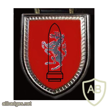 72nd Rocket Artillery Batallion badge, old img8462