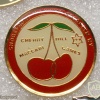  JCC Maccabi Games 1999 Cherry Hill team img8694