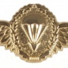 Parachutist badge, gold img8957