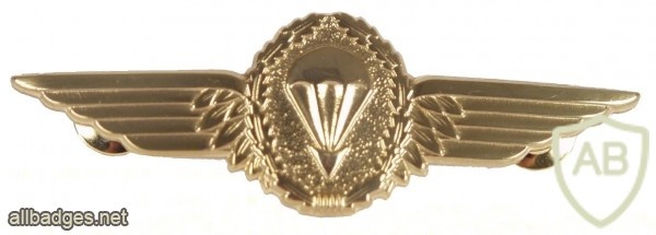 Parachutist badge, gold img8957