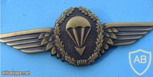Parachutist badge, bronze img8956