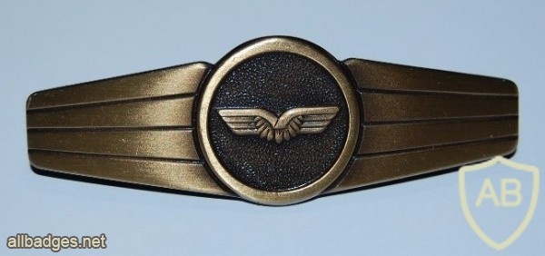 staff department (Luftwaffe), bronze img9006