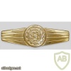 technical staff badge, gold