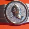 Diver, silver img9146