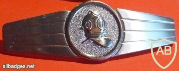 Diver, silver img9146