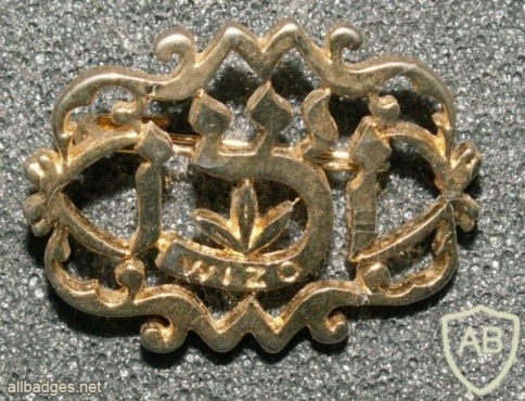 סיכת ויצו img9067