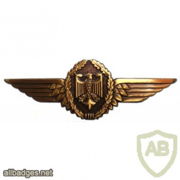 Pilot, bronze img9158