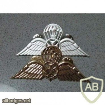 Georgia Army para badges, metal img9182