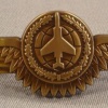 Battle Observer (weapon systems officer), bronze