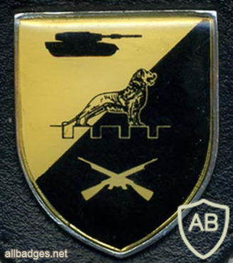 21st Tank Battalion img9226