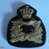 Air Force cap badge, old img9219