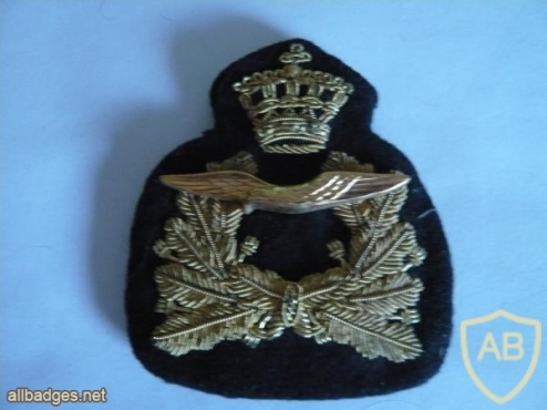 Air Force cap badge, old img9219